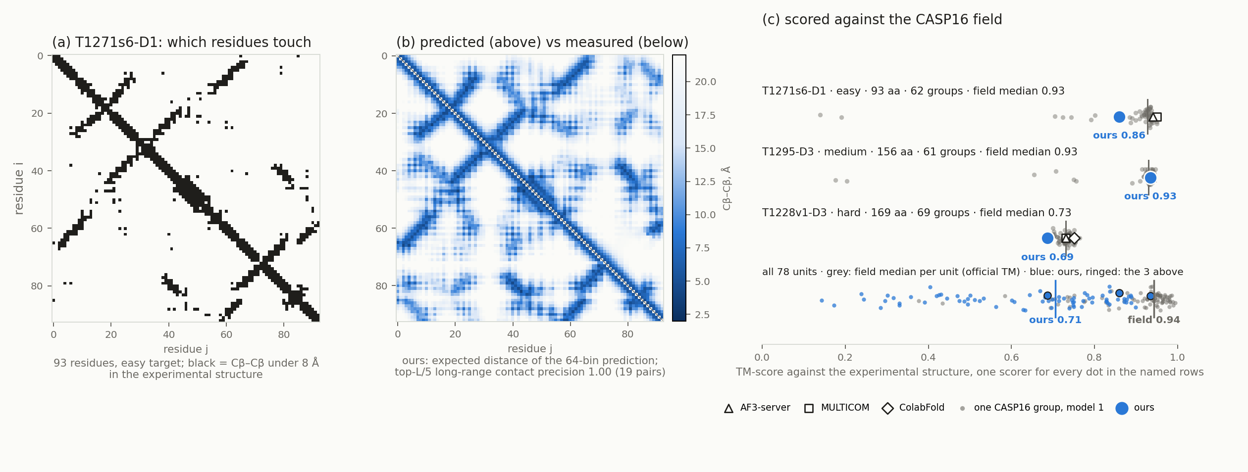 \includegraphics[width=\textwidth ]{demos/casp16_distogram.png}